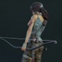 Lara Croft Survivor