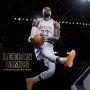 NBA: LeBron James (LA Lakers)