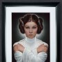 Leia Princess Of Alderaan Art Print (Olivia De Berardinis)