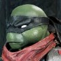 Teenage Mutant Ninja Turtles: Leonardo