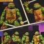 Leonardo Mirage Comics