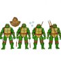 Teenage Mutant Ninja Turtles: Leonardo, Raphael, Michelangelo, & Donatello Mirage Comics