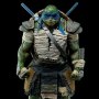 Teenage Mutant Ninja Turtles: Leonardo