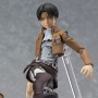 Levi Rivaille