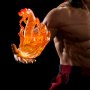 Liu Kang (Pop Culture Shock)