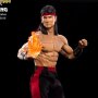 Liu Kang (Pop Culture Shock)