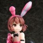Llenn Bunny Girls