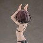 Llenn Light Novel Dress & Swimsuit