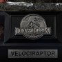 Velociraptor Male