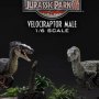 Velociraptor Male Bonus Edition