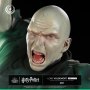 Lord Voldemort (Ikigai)