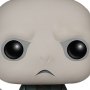 Harry Potter: Lord Voldemort Pop! Vinyl