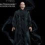 Harry Potter: Lord Voldemort Flash