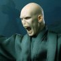 Lord Voldemort Flash