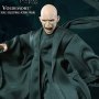 Lord Voldemort Flash