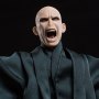 Lord Voldemort Flash
