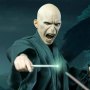 Lord Voldemort Flash