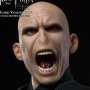 Lord Voldemort Flash