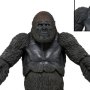 Dawn Of Planet Of Apes Series 2