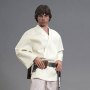 Luke Skywalker