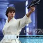 Star Wars: Luke Skywalker (Special Edition)