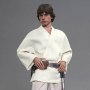 Luke Skywalker (Special Edition)