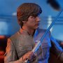 Luke Skywalker (Empire Strikes Back)