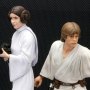 Luke Skywalker And Princess Leia