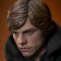 Luke Skywalker Dark Empire Legends