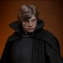 Luke Skywalker Dark Empire Legends