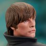 Luke Skywalker Dark Empire Premier Collection