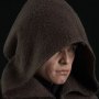 Luke Skywalker Deluxe