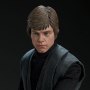 Luke Skywalker Deluxe