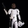 Luke Skywalker Stormtrooper Disguise