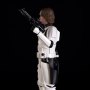 Luke Skywalker Stormtrooper Disguise
