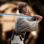 Luke Skywalker Training Milestones