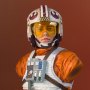Luke Skywalker X-Wing Pilot 40th Anni (SDCC 2017)