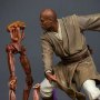 Star Wars: Mace Windu