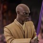 Mace Windu