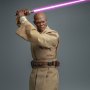 Mace Windu (Attack Of The Clones)