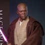 Mace Windu (Attack Of The Clones)