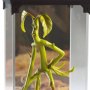 Fantastic Beasts And Where To Find Them: Magical Creatures Bowtruckle