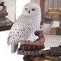 Harry Potter: Magical Creatures Hedwig