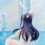 Mai Sakurajima Bunny