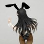 Mai Sakurajima Bunny