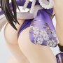 Mai Shiranui Repack Age 2P Color