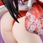 Mai Shiranui Repack Age