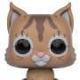 Pets: Maine Coon Pop! Vinyl