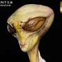 Original Charactes: Mantis Overseer (Steve Wang)