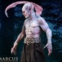Marcus Deluxe